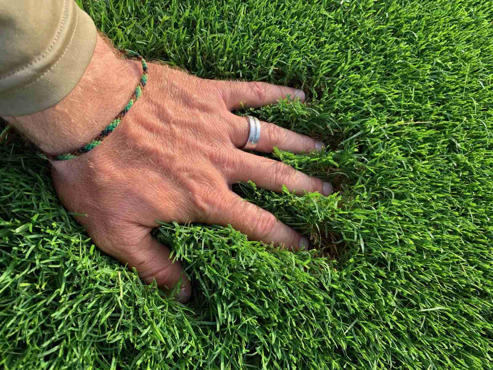 All Seasons Lawn Care Melissa, Anna, & Mckinney