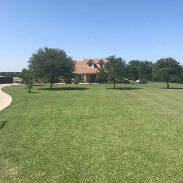 Lawn Care in Anna Texas