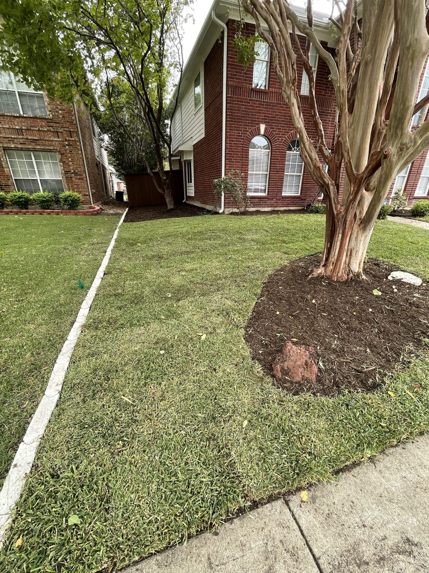 Sod installation service in North Texas by All Seasons Lawn Care