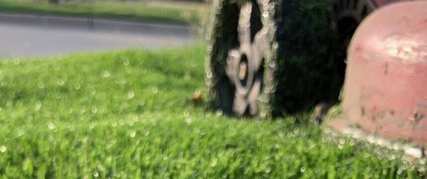 Lawn mowing results in Melissa TX by All Seasons Lawn Care
