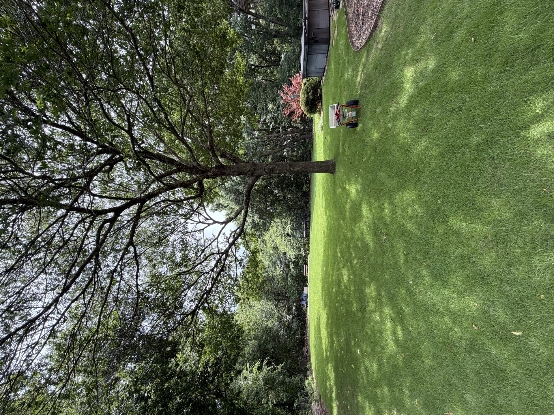 lawn fertilization service Melissa TX - All Seasons Lawn Care