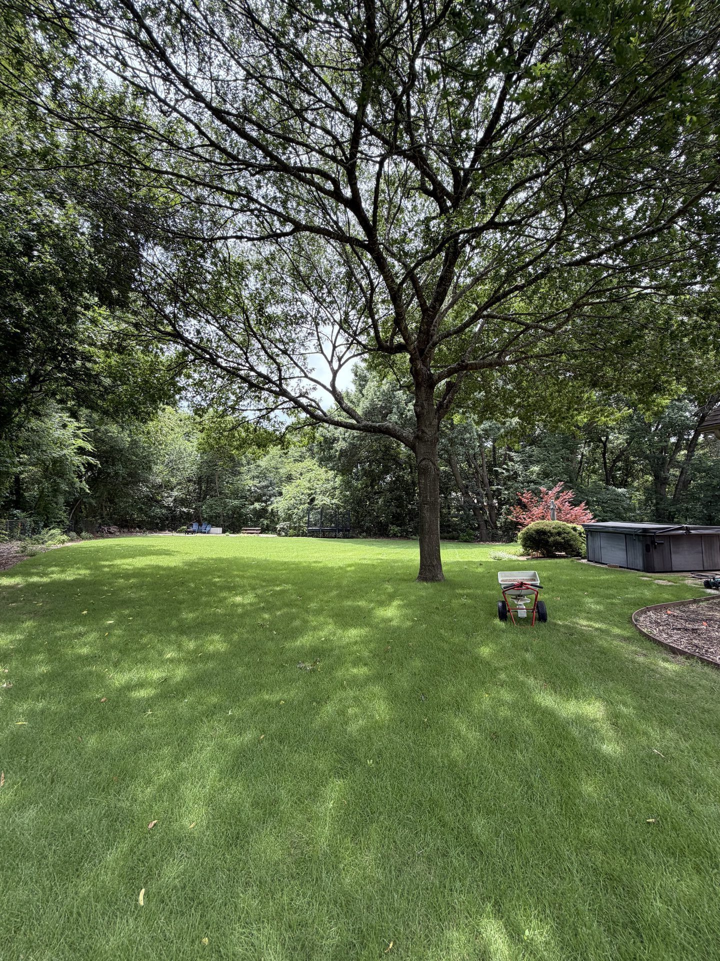 lawn fertilization service Melissa TX - All Seasons Lawn Care